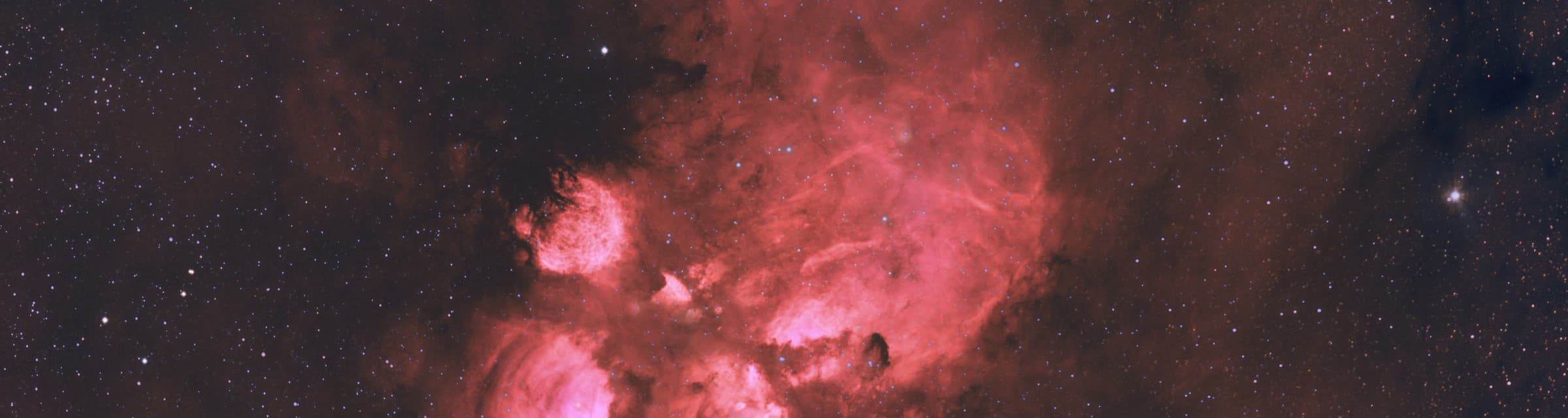 User profile banner