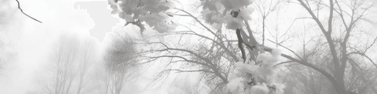 User profile banner