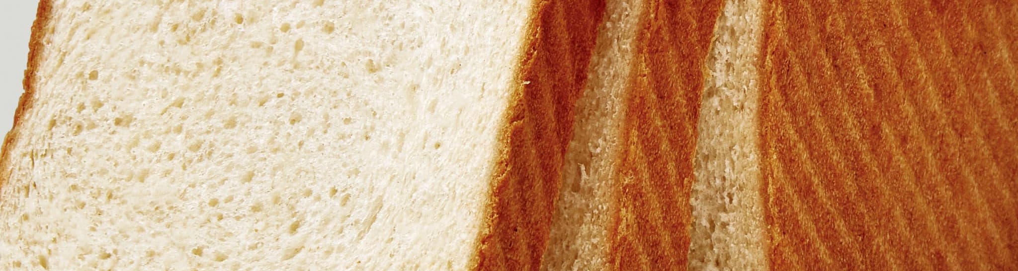 User profile banner