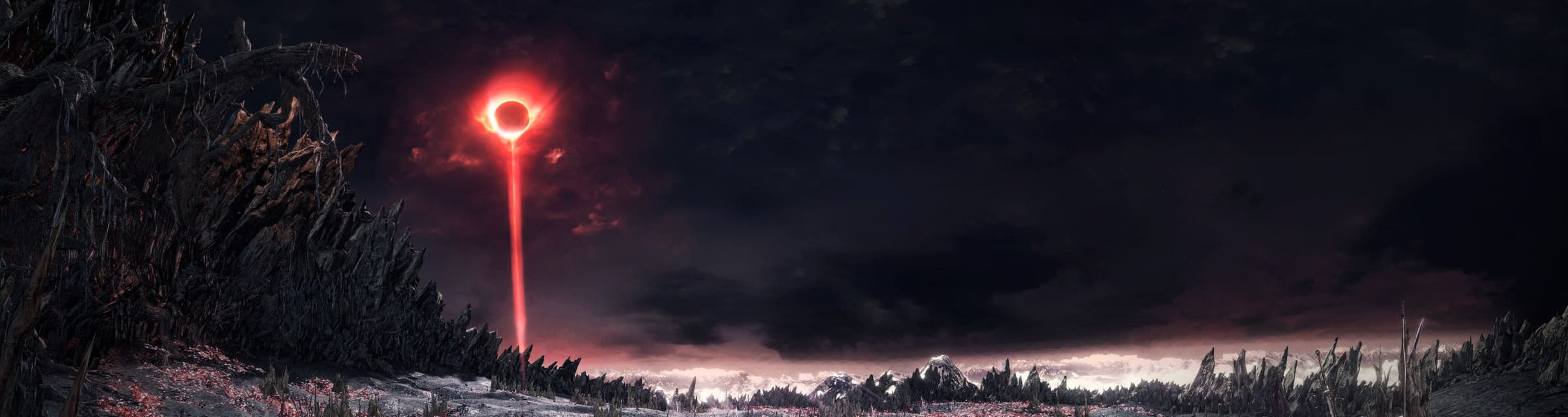 User profile banner
