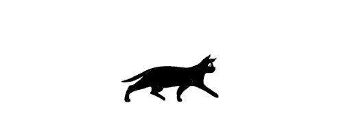 User profile banner