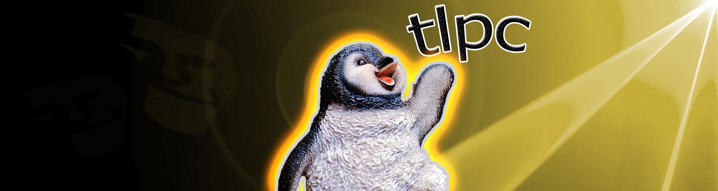 User profile banner