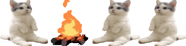 User profile banner