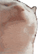 User profile banner