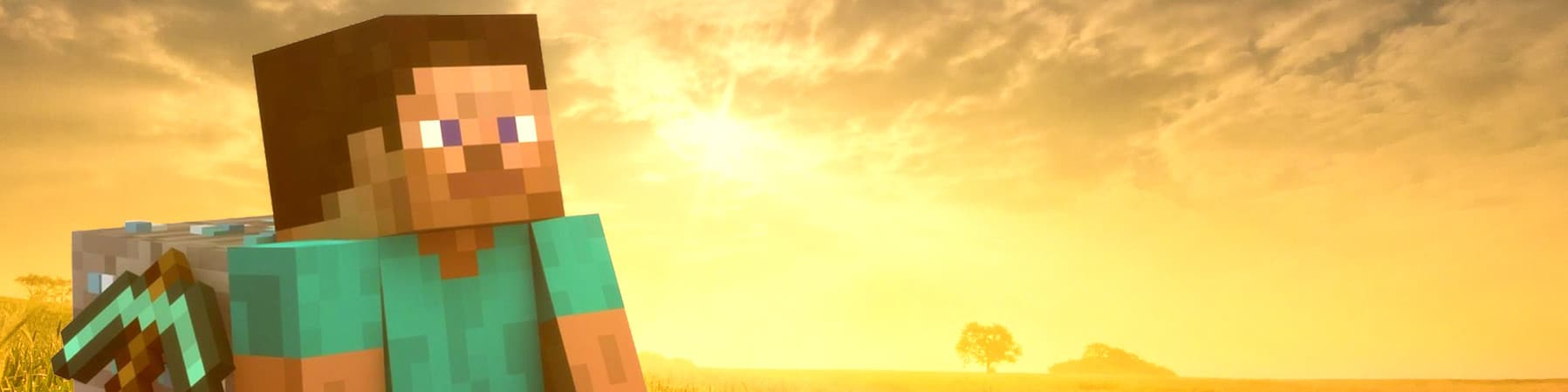 User profile banner