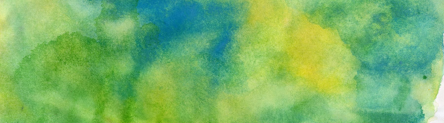 User profile banner