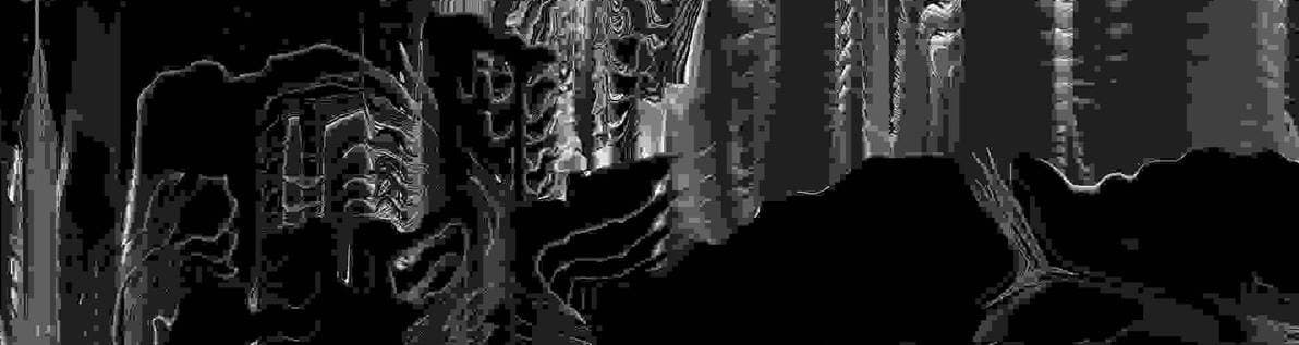 User profile banner