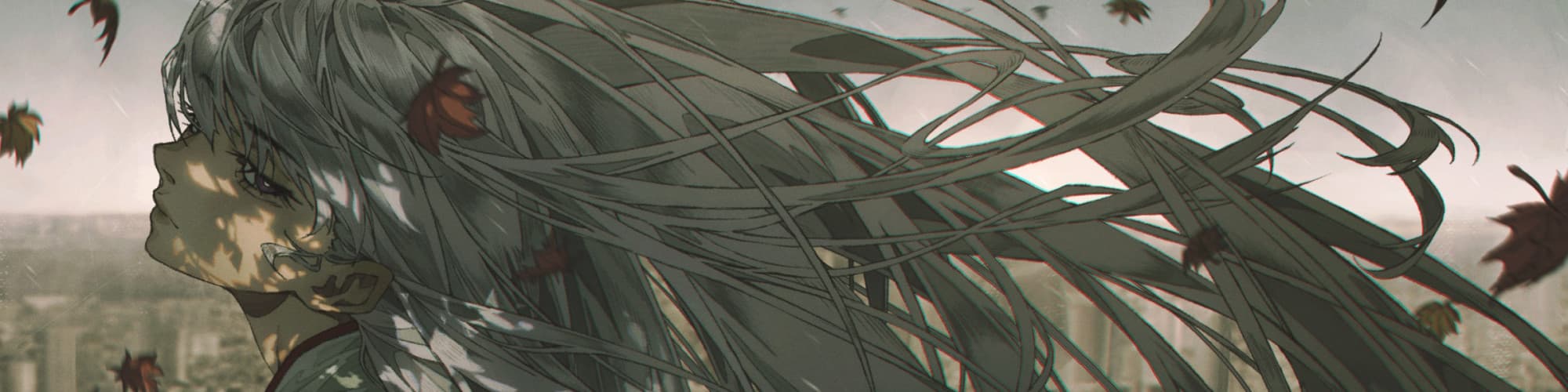 User profile banner