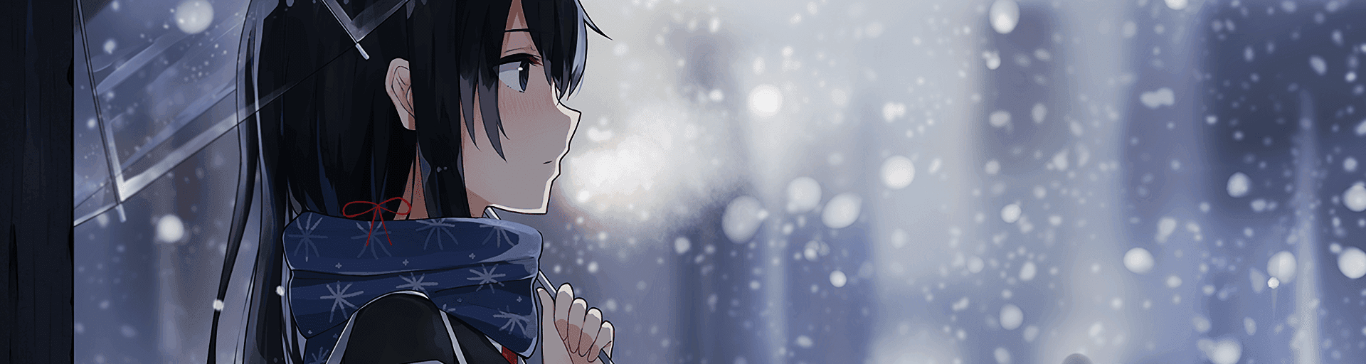 User profile banner