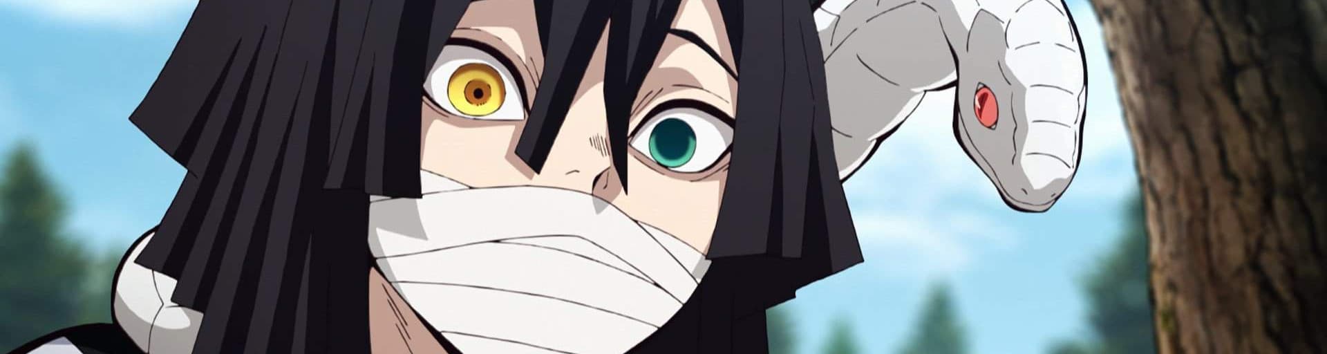 User profile banner