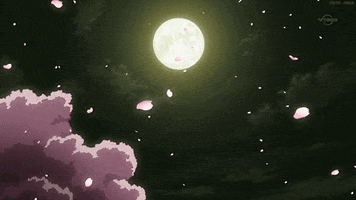 User profile banner