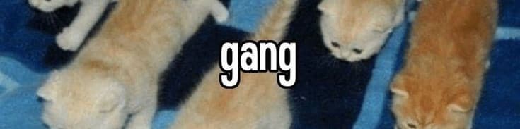 User profile banner
