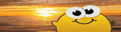 User profile banner