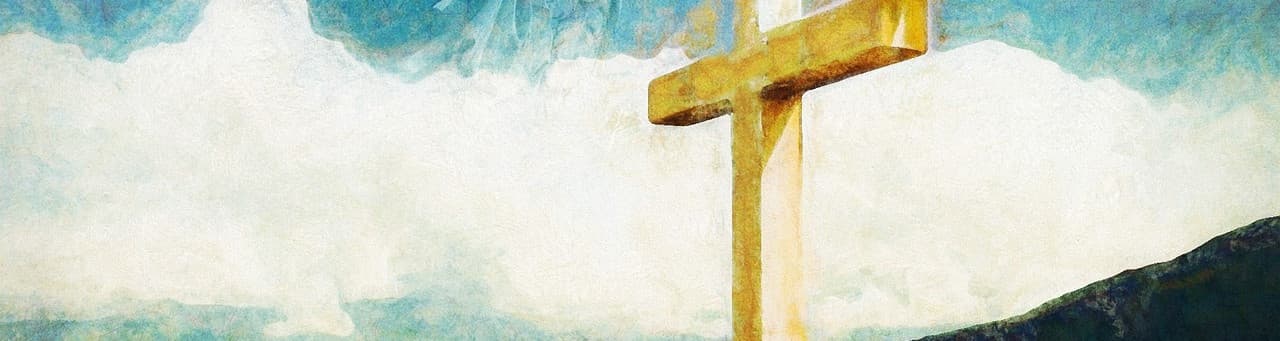 User profile banner