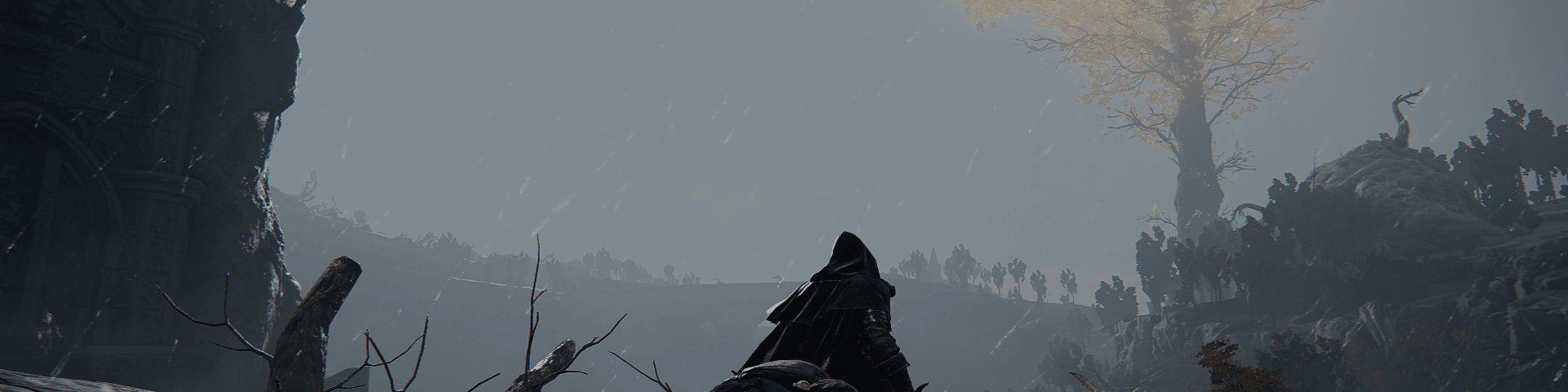 User profile banner