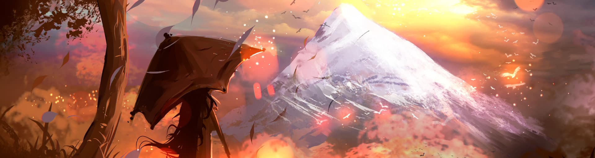 User profile banner