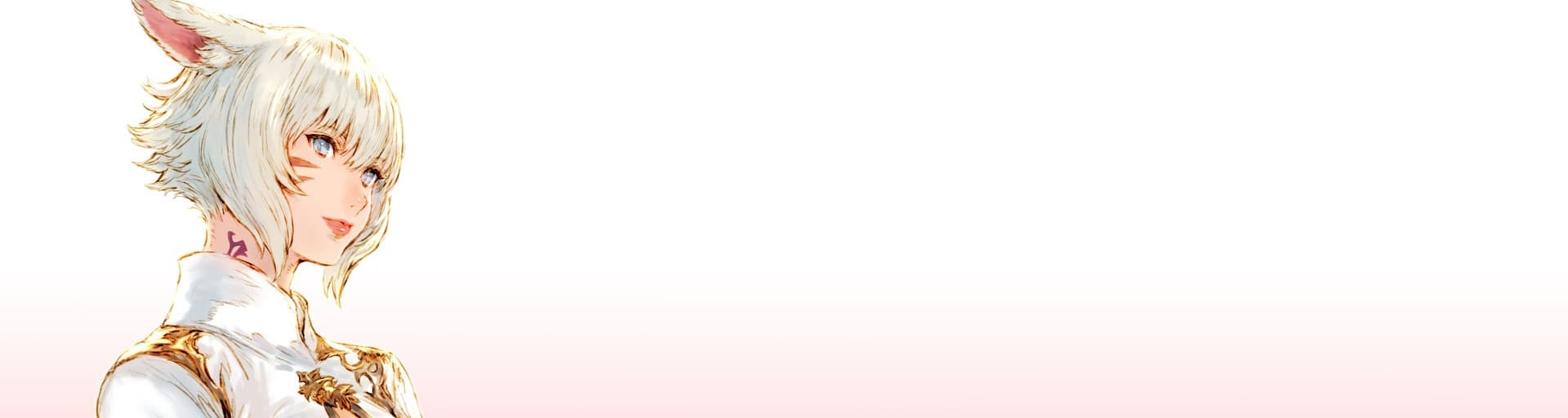 User profile banner