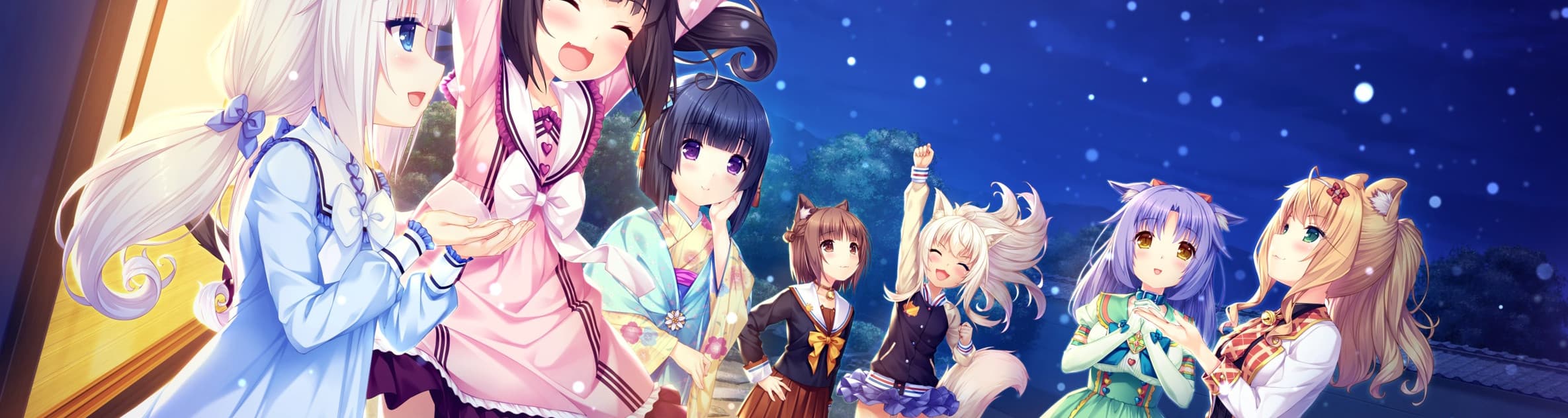 User profile banner