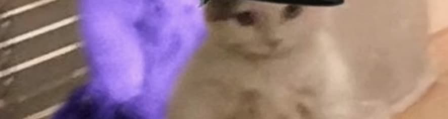 User profile banner
