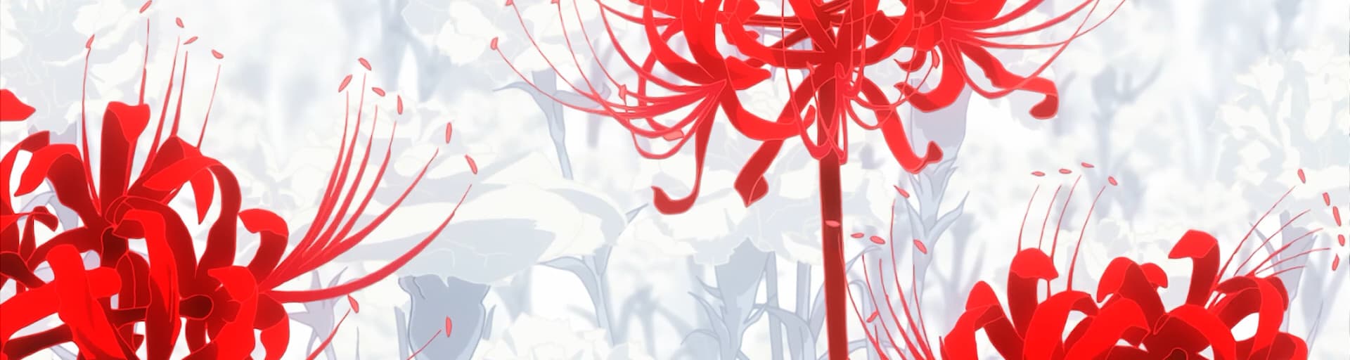 User profile banner