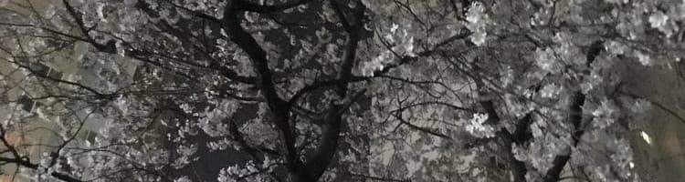 User profile banner