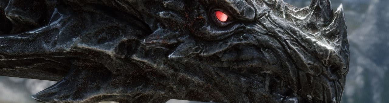 User profile banner