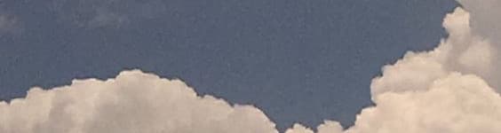 User profile banner
