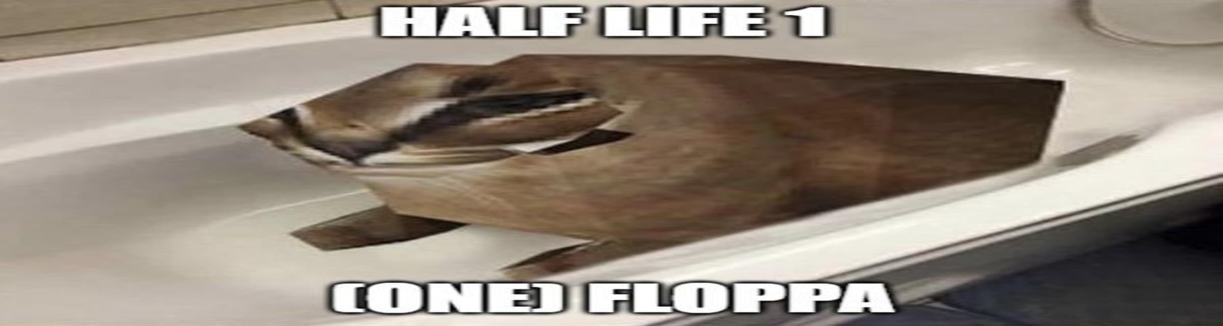 User profile banner