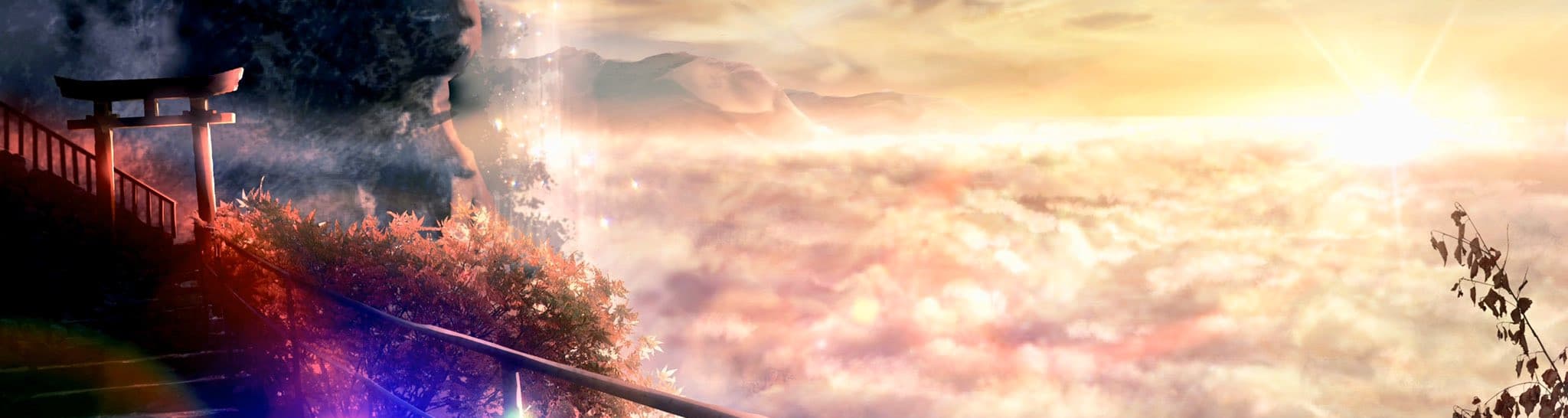 User profile banner