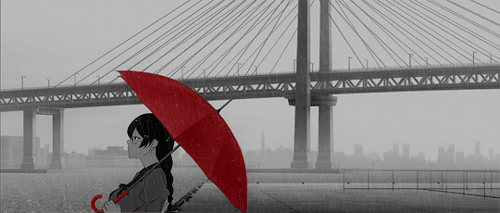 User profile banner