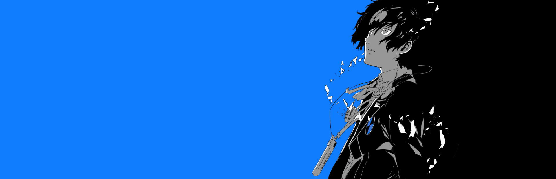 User profile banner