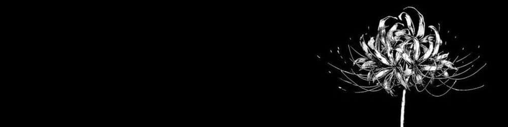 User profile banner