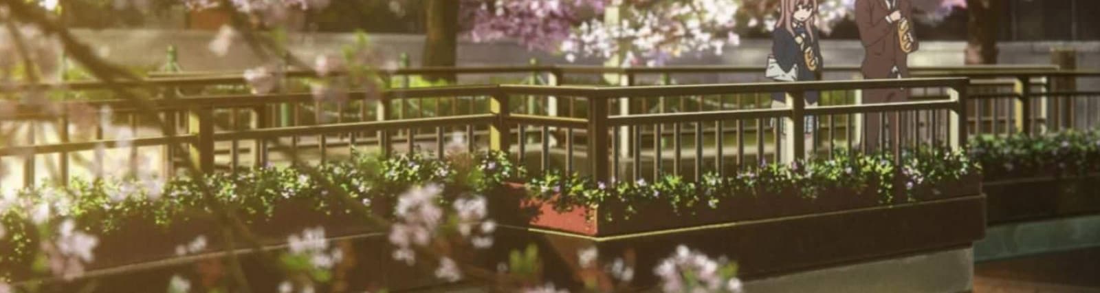 User profile banner