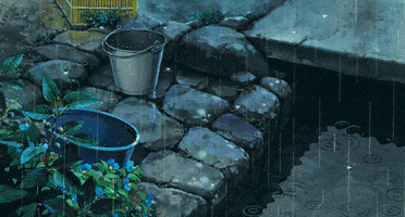 User profile banner
