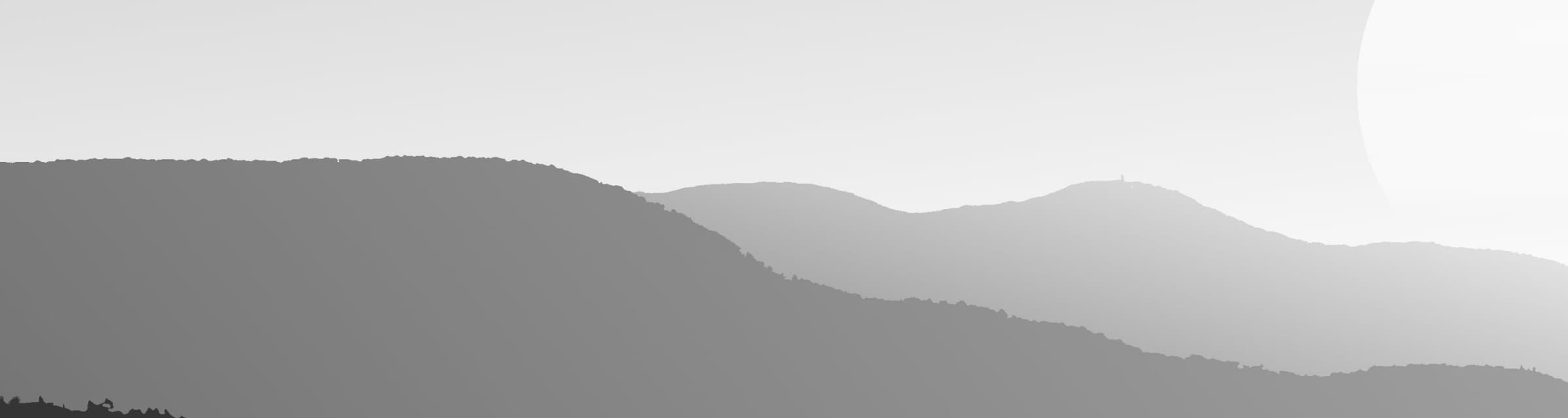User profile banner