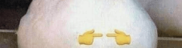 User profile banner