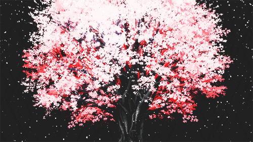 User profile banner