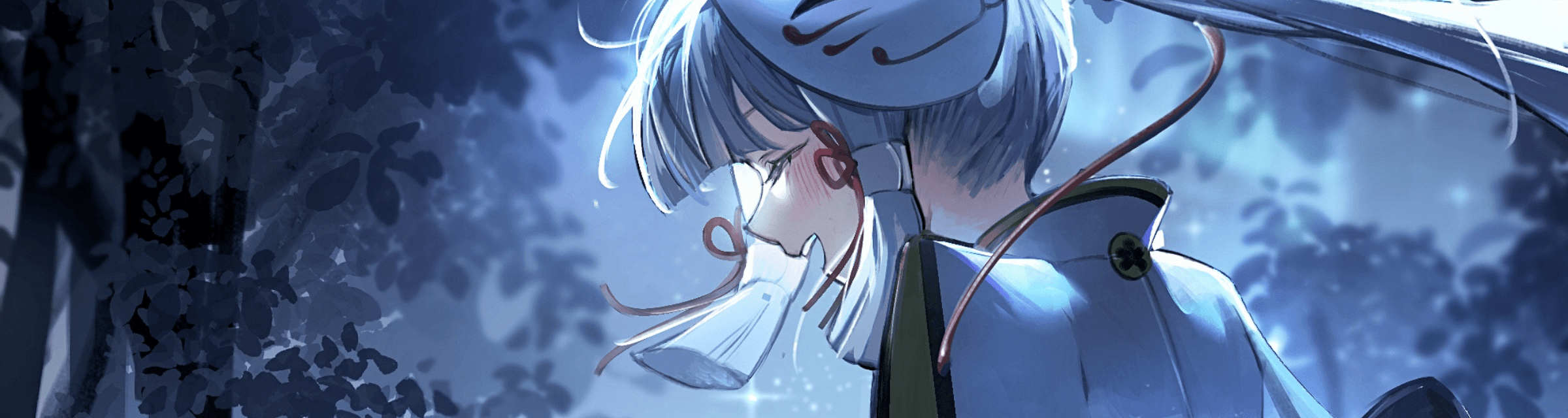 User profile banner