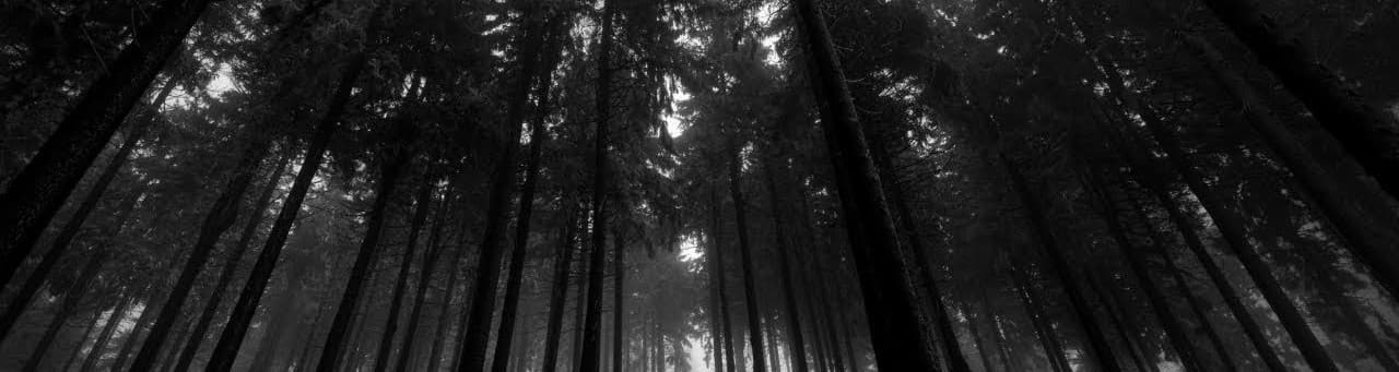 User profile banner