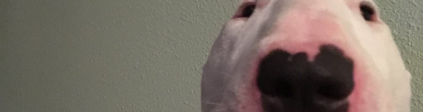 User profile banner