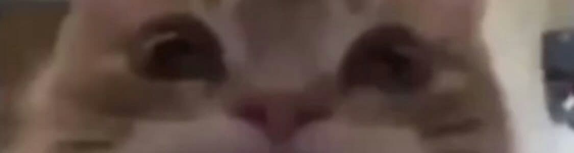 User profile banner