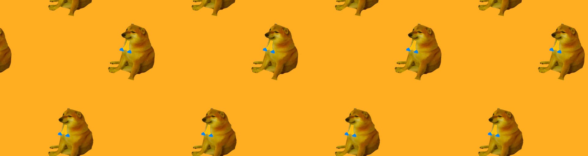 User profile banner