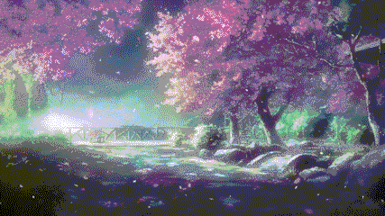 User profile banner