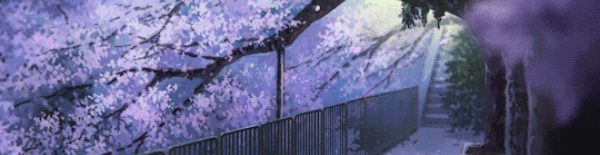 User profile banner
