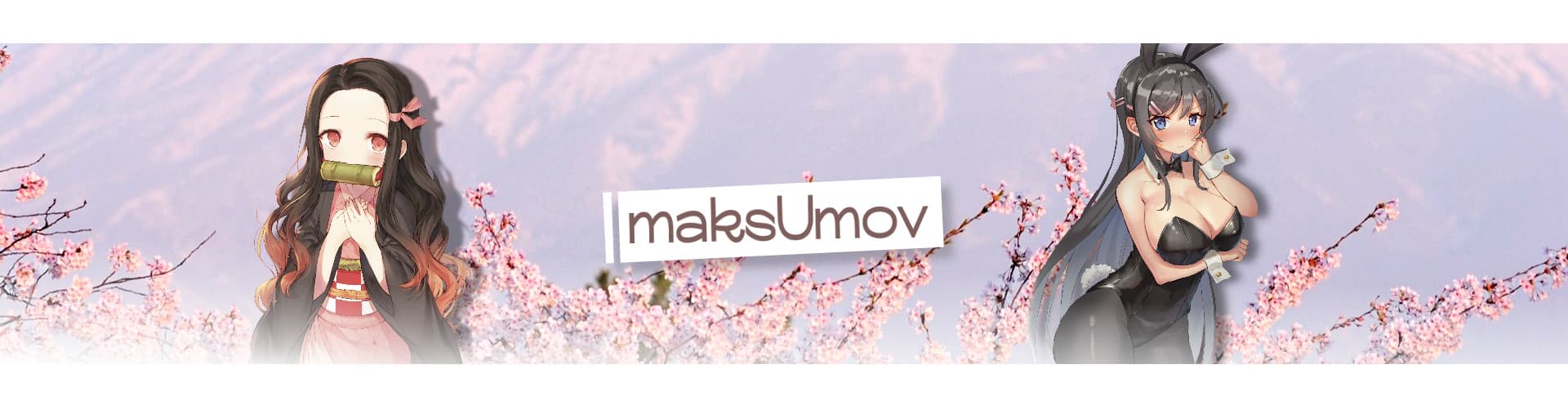 User profile banner