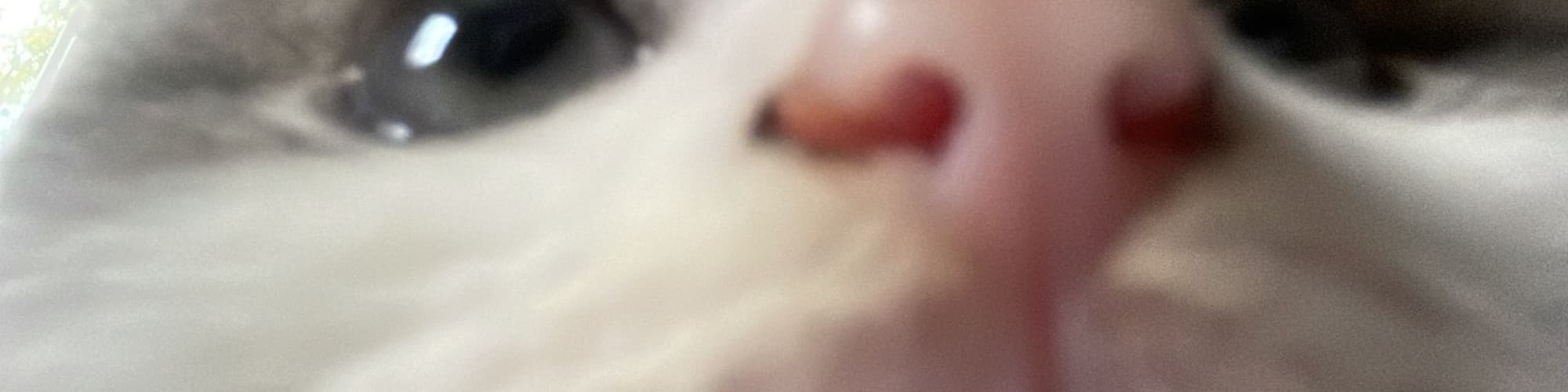 User profile banner