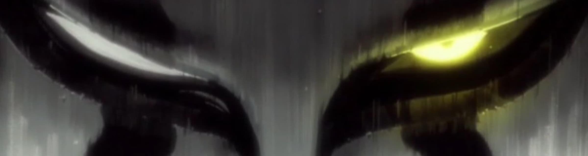 User profile banner