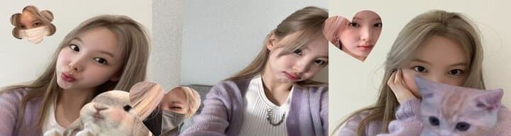 User profile banner