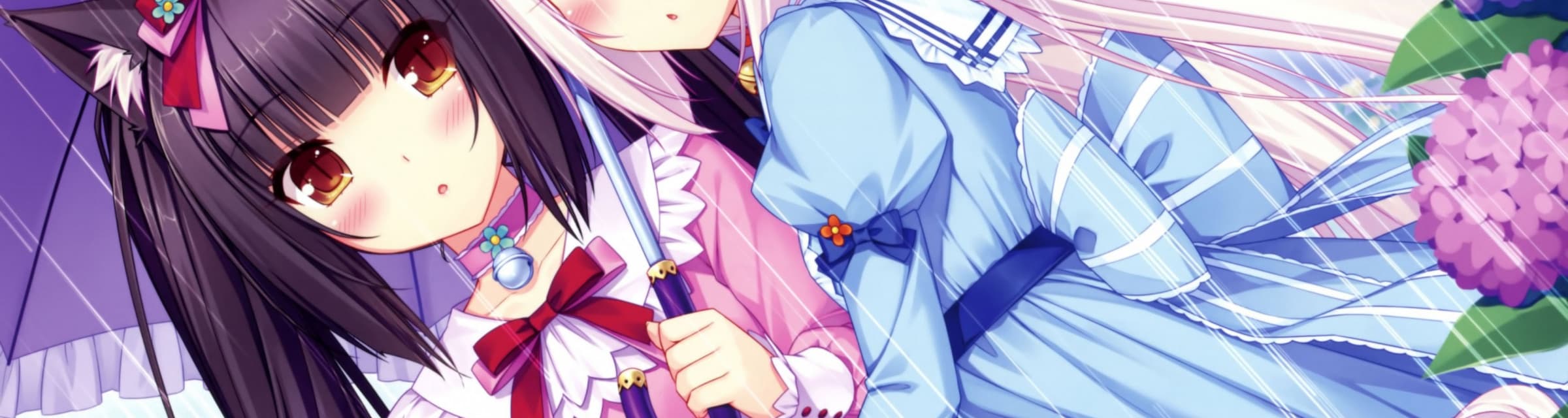 User profile banner