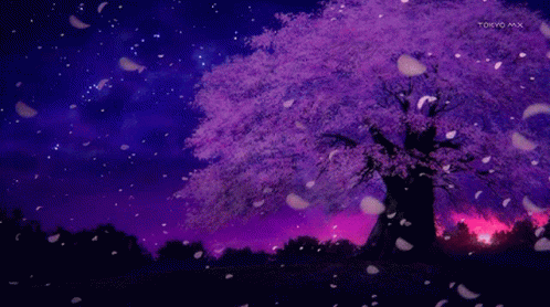 User profile banner